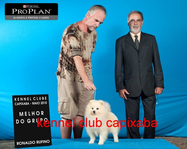 Clique sobre a foto para fechar